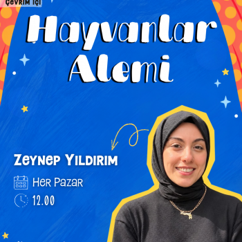 Hayvanlar Alemi  Atölyesi
