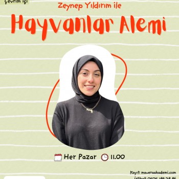 Hayvanlar Alemi  Atölyesi